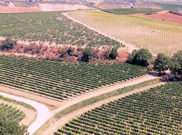 Montepulciano, Tuscany 53045