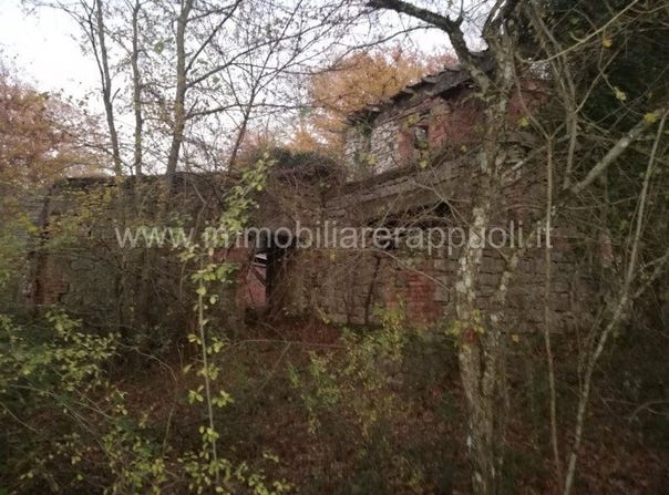 Rapolano Terme, Tuscany 53040