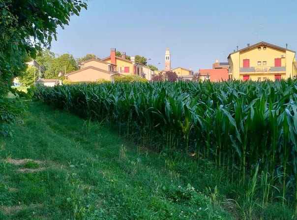 Veneto, Veneto 35010