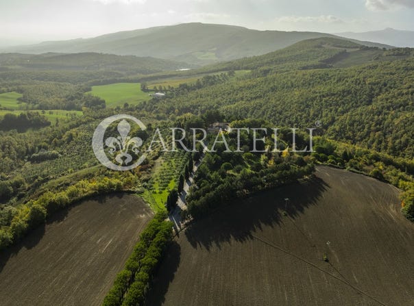 Montepulciano, Tuscany 53045