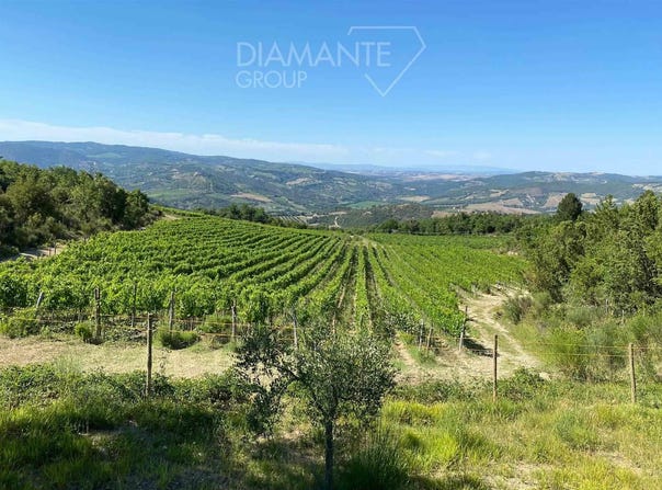 Seggiano, Tuscany 58038