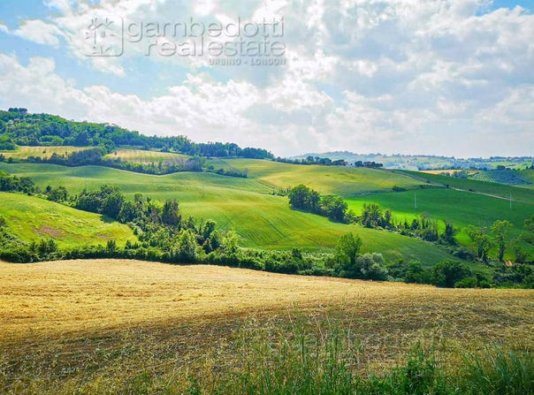 Terre Roveresche, Marche 61040