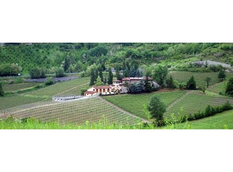 Cremolino, Piemonte|Piedmont 15010