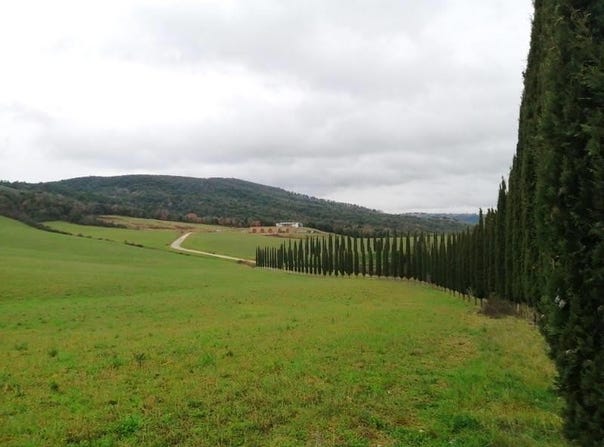 Murlo, Tuscany 53016