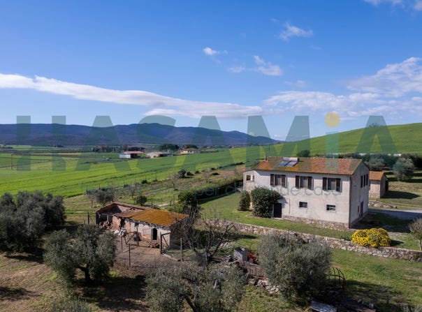 Collecchio, Magliano in Toscana, Tuscany 58051
