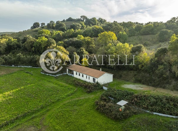 Grosseto, Tuscany 58100