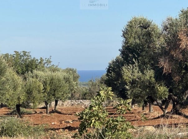 Carovigno, Apulia 72012