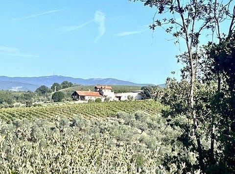 Montecchio, Umbria