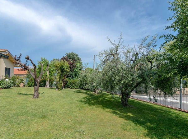 Monte San Savino, Tuscany 52048