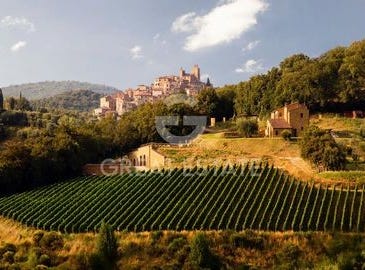 Trequanda, Siena