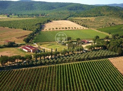 Grosseto, Grosseto
