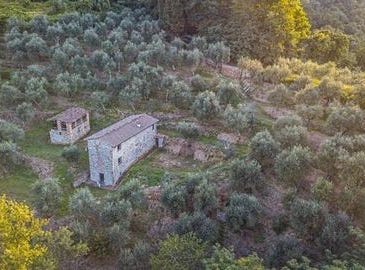 Corsanico, Massarosa, Tuscany 55054