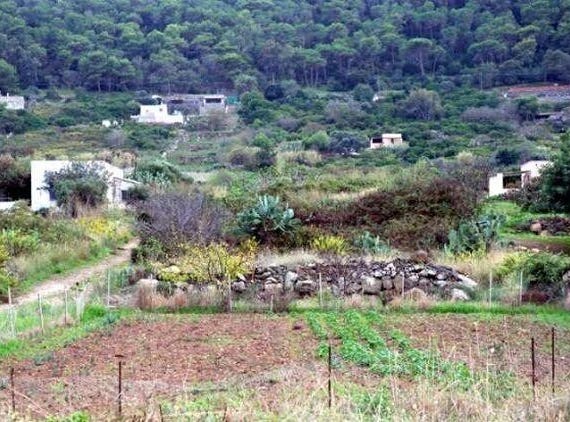 Ustica, Sicily 90010