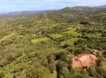 Via Monti Canu, Palau, Sardegna|Sardinia 07020