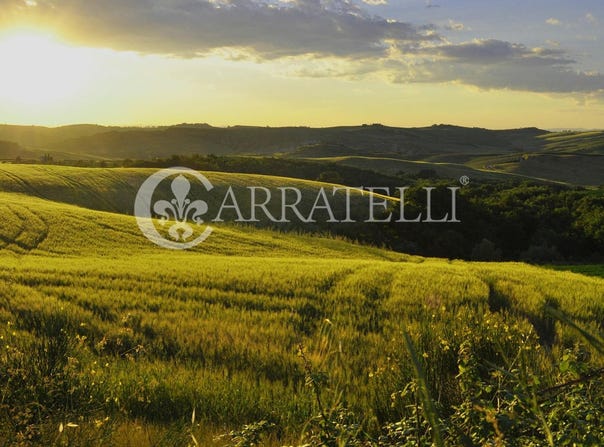 Castelnuovo Berardenga, Tuscany 53019