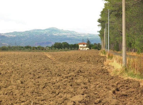 Grosseto, Tuscany 58100