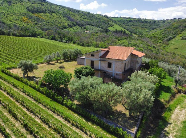 Controguerra, Abruzzo 64010