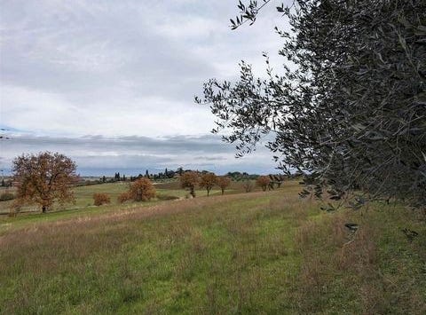 Castiglione Del Lago, Umbria