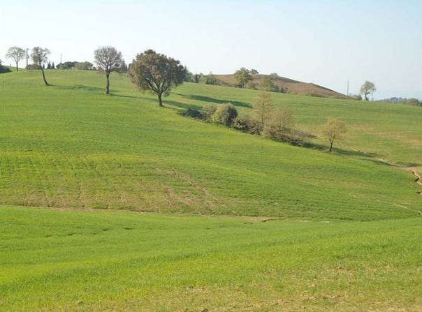 Grosseto, Tuscany 58100
