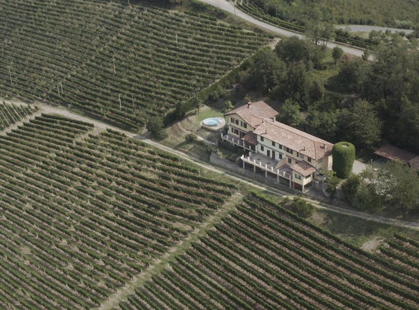 Mango, The Piedmont 12056