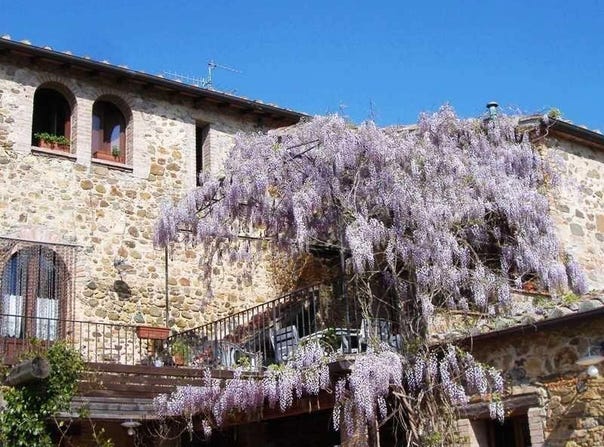 Cinigiano, Tuscany 58044