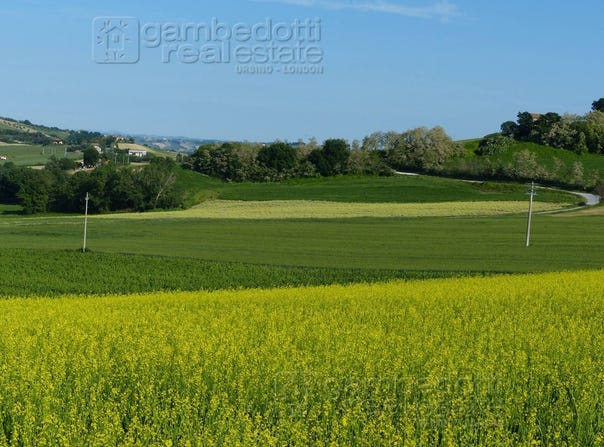 Sant'Ippolito, Marche 61040