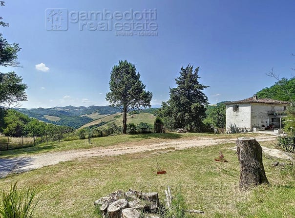 Urbino, Marche 61029