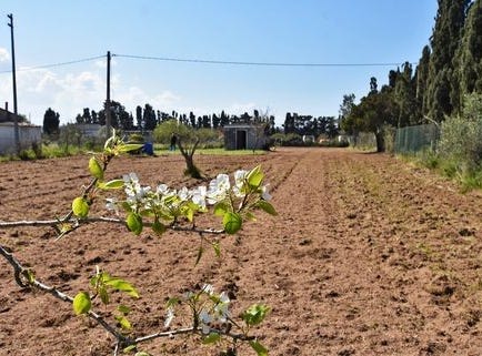 Sòssu/Sorso, Tàttari/Sassari