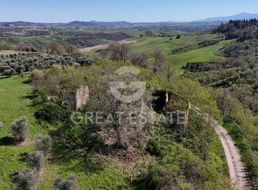 Asciano, Siena