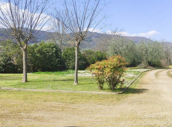 Carmignano, Tuscany 59015