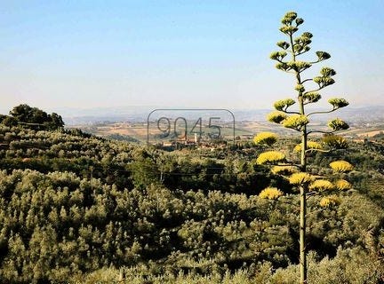 Die Adresse erhalten Sie vom Anbieter, Vinci, Toscana|Tuscany 50059