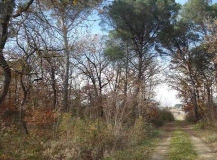 Castiglione Del Lago, Umbria