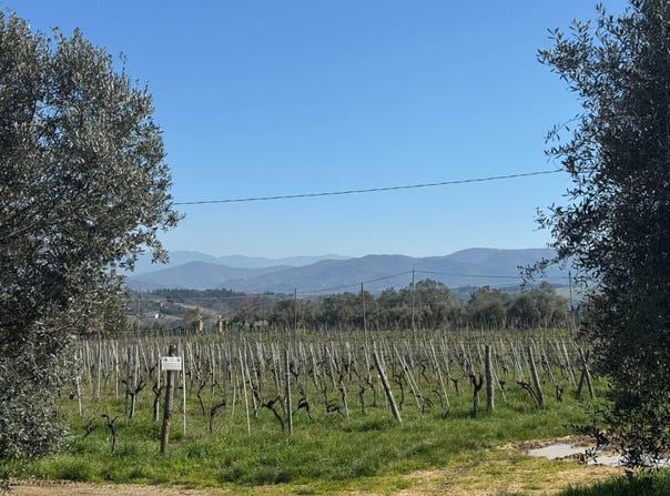 San Casciano in Val di Pesa, Tuscany 50026