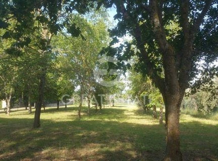 Ficulle, Terni