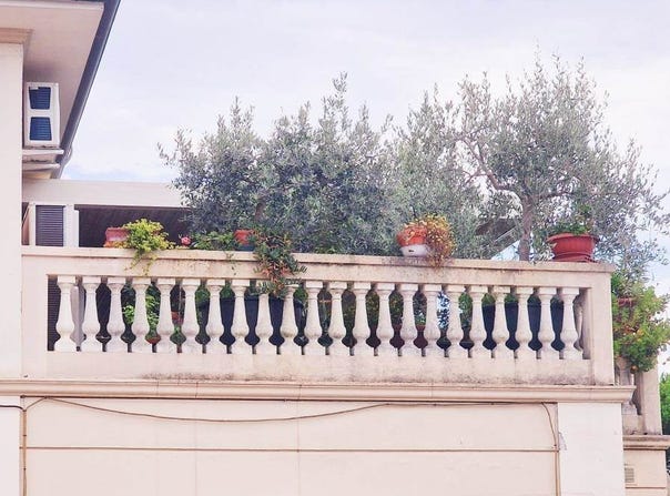 Lucca, Tuscany 55100