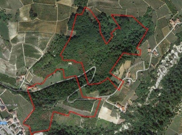 Dogliani, The Piedmont 12063