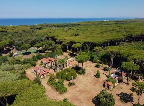 Castagneto Carducci, Toscana|Tuscany 57022