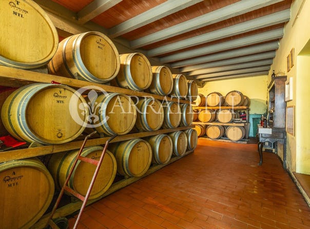 Gaiole in Chianti, Tuscany 53013