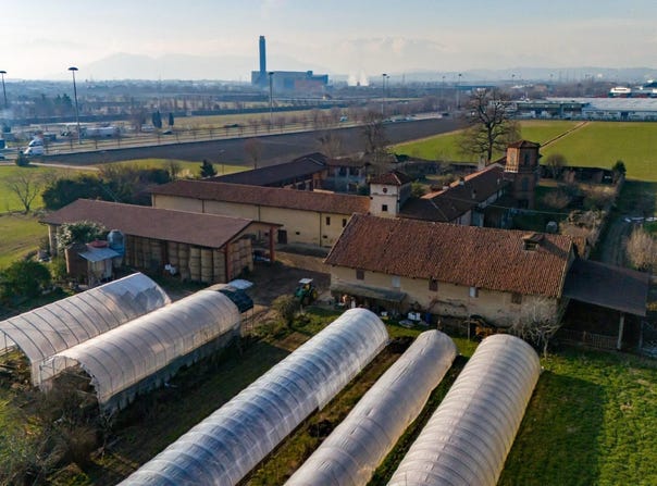 Grugliasco, The Piedmont 10095