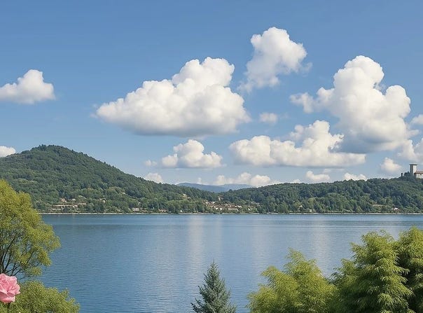 Meina, The Piedmont 28046
