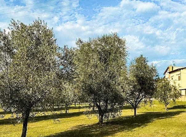Follonica, Tuscany 58022