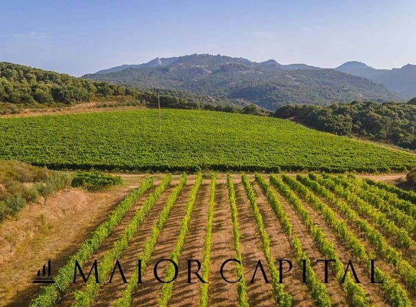 Calangianus, Sardinia 07023