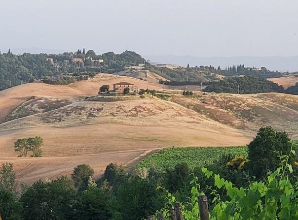 Castelnuovo Berardenga, Tuscany 53019