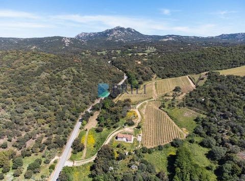 SP38, 40.961740, 9.287738, Sant'Antonio di Gallura, Sassari 07030