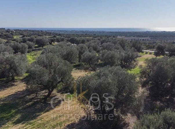 Manduria, Apulia 74024