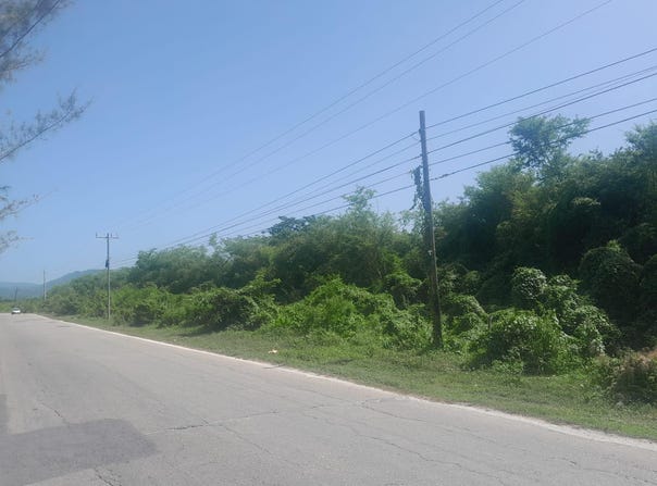 HODGES, BLACK RIVER, Fyffes Pen, St. Elizabeth