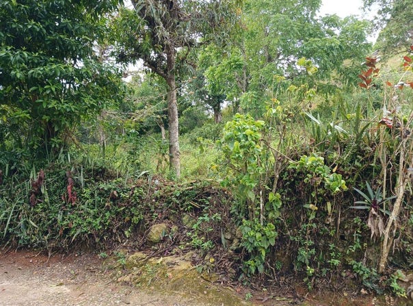 GREEN HILL, ALEXANDRIA, S, Alexandria, St. Ann