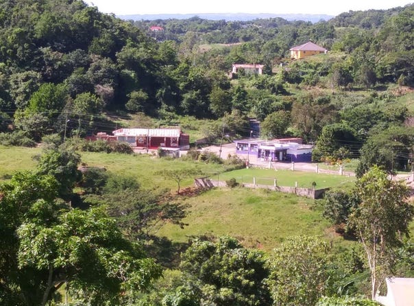 CEDARS MOCHO, Mocho, Clarendon
