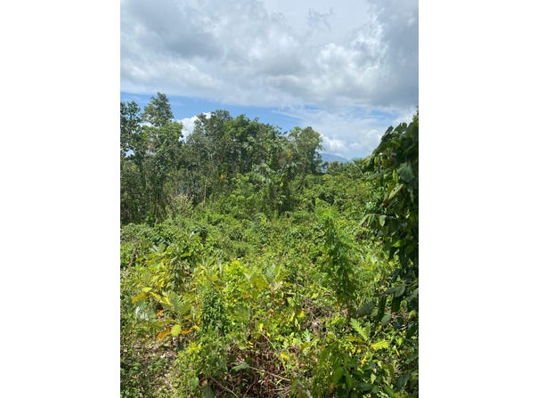 59 FRASER CRESCENT, COOPERS unit: Lot, Red Hills, St. Andrew