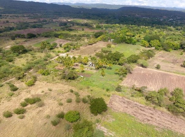 25 ACRE LOT, OLD HARBOUR, Old Harbour, St. Catherine